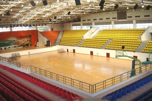 運(yùn)動(dòng)地板 運(yùn)動(dòng)地板