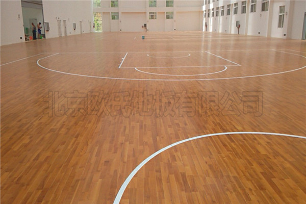 運(yùn)動(dòng)木地板 運(yùn)動(dòng)木地板