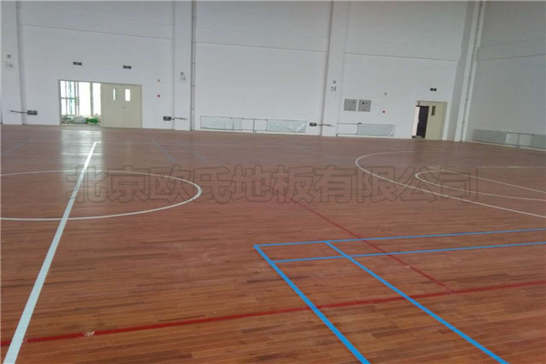 運動木地板 運動木地板
